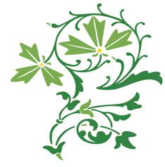 Homopathie-Duisburg-Dinslaken-1