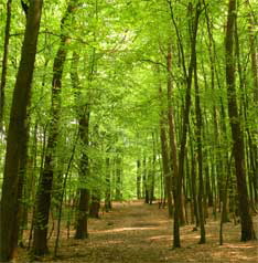 Homopathie-Duisburg-Dinslaken-18